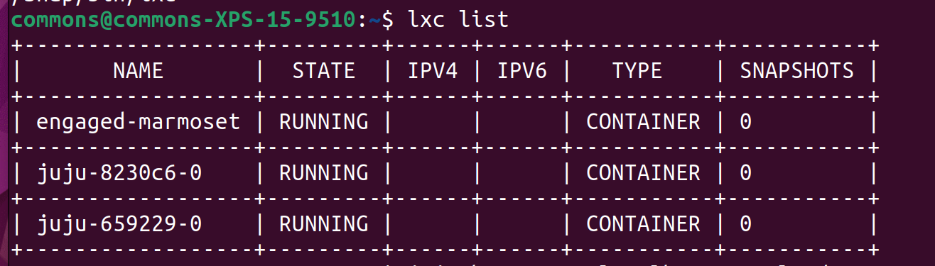 Juju様確認ページ Juju bootstrapping error in LXD - LXD - Linux Containers Forum