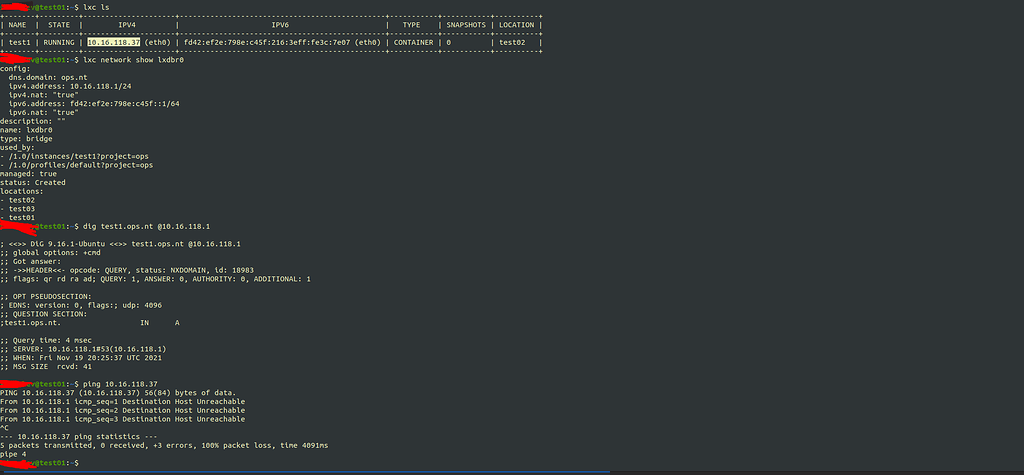 Lxd unable to access it's network - LXD - Linux Containers Forum