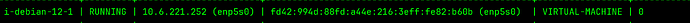 2025-04-28-incus-vm-40-seconds-after-startup-enp5s0