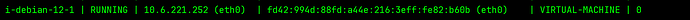 2025-04-28-incus-vm-after-startup-eth0