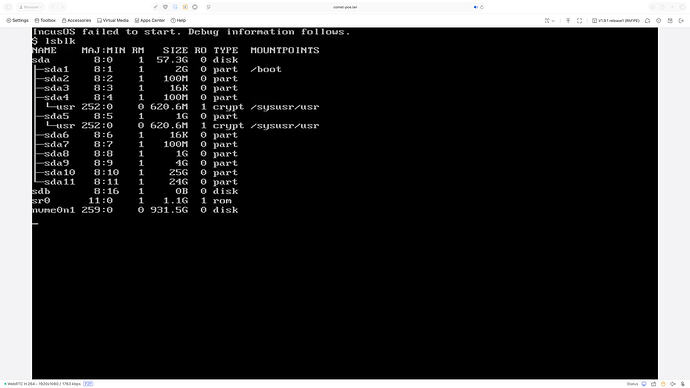 incusos-debug-lsblk