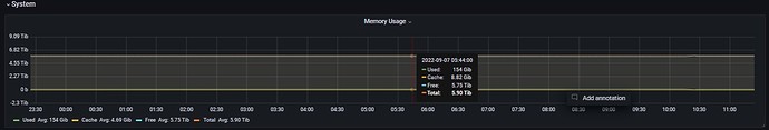 memory usage host