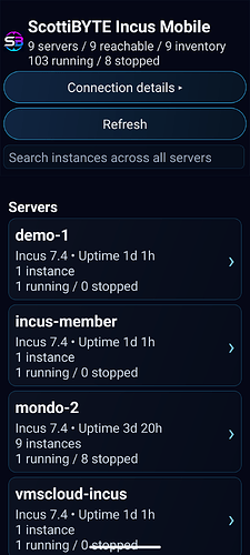 NewIncusClientServerList