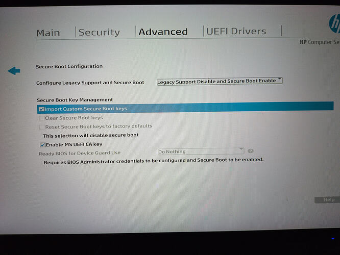 Same picture as above, except the 'Import Custom Secure Boot keys"' option is checked