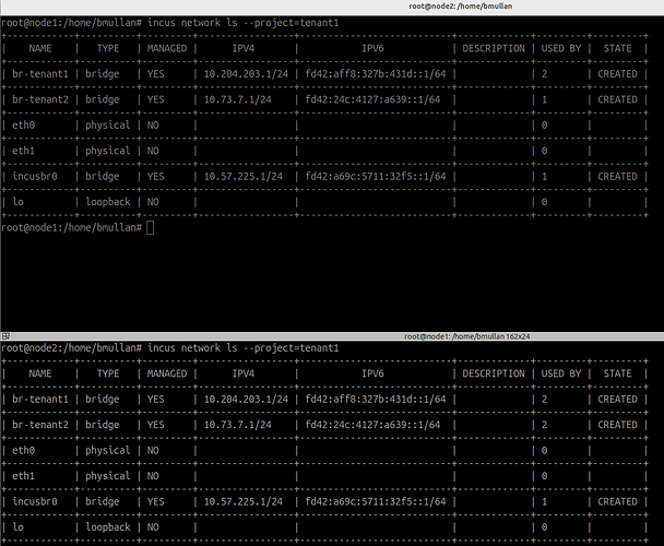 two digital ocean servers w identical Incus Project Bridge IP address