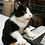 longcat